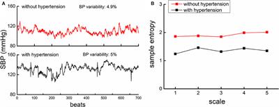 The Multiscale Dynamics of Beat-to-Beat Blood Pressure Fluctuation Links to Functions in Older Adults